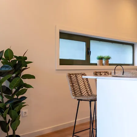 Apartment Exotic Flat With Shared Pool & Garden